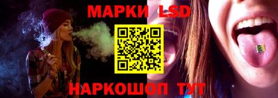 стаф Дубна