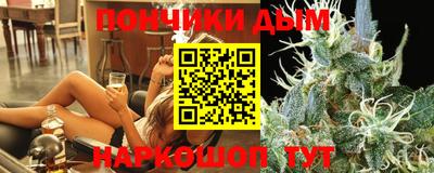 стаф Дубна