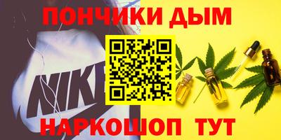 стаф Дубна
