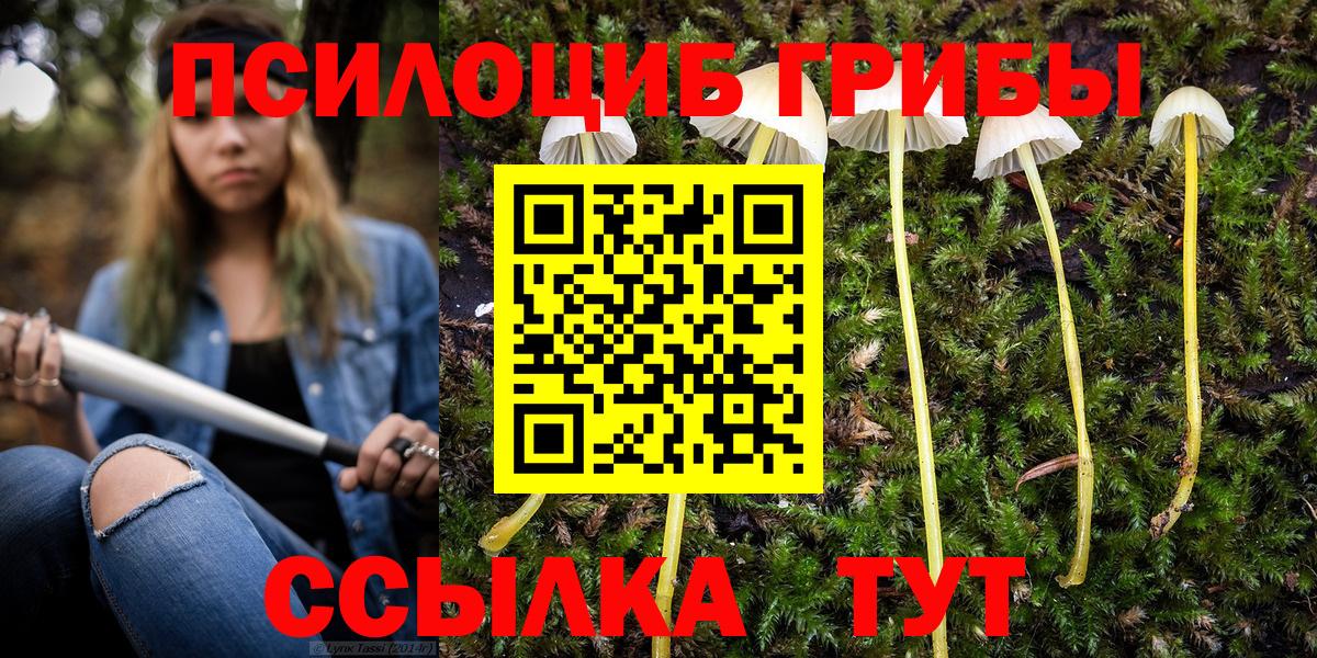 Псилоцибиновые грибы Psilocybine cubensis  Галлюциногенные грибы Psilocybe  Минеральные Воды  Вход с VPN 
