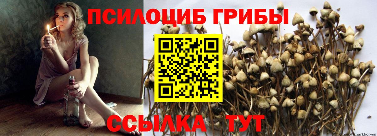 Галлюциногенные грибы мухоморы Минеральные Воды